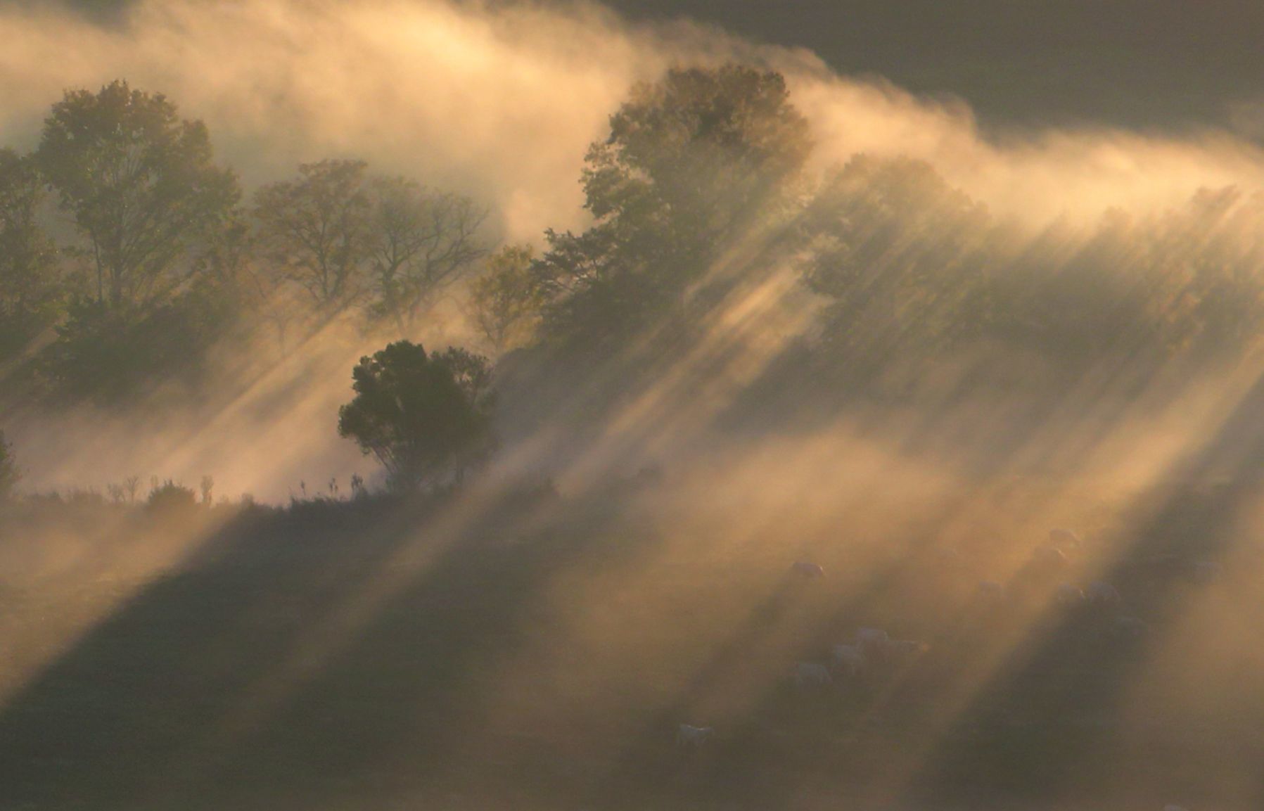 Sunrise over the Big River Valley